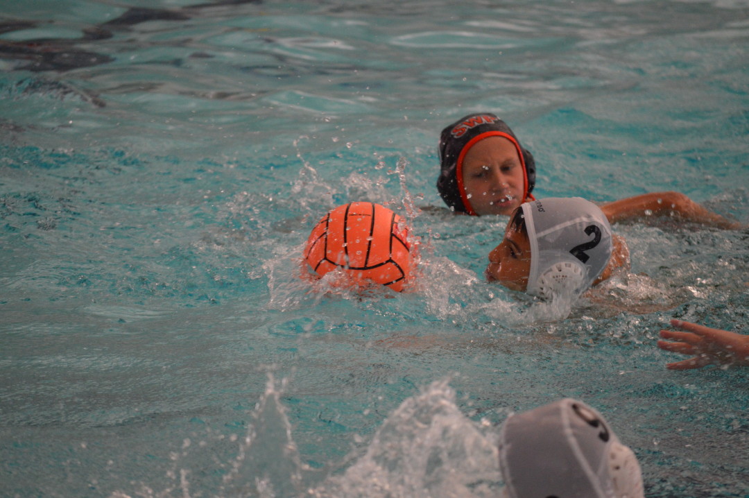 Teams South Davis Water Polo